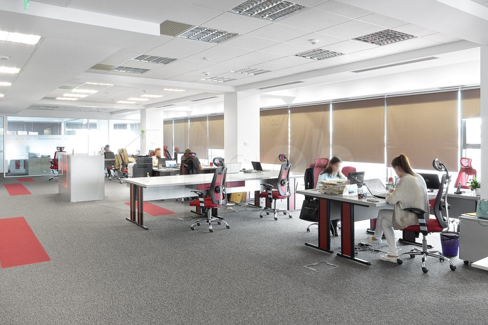 Mobilier de birou pentru Softine