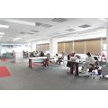 Mobilier de birou pentru Softine