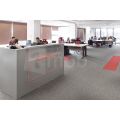 Receptie personalizata pentru Softline
