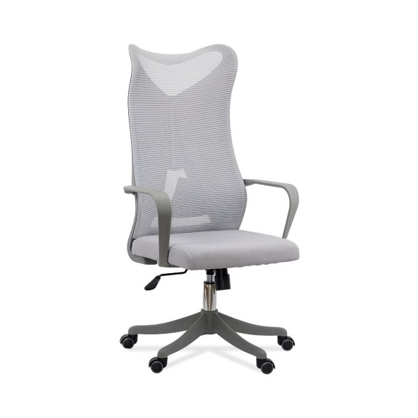 Scaun de birou ergonomic cu suport lombar si spatar inalt OFF 634 gri