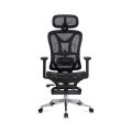 Scaun de birou ergonomic negru cu suport lombar și brate reglabile 3D SYYT 9519 - imaginea 2