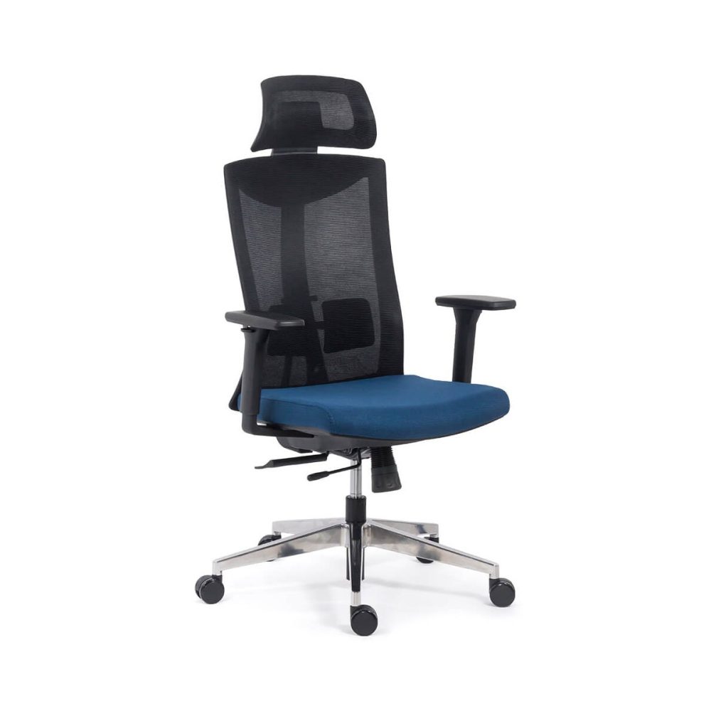 Scaun ergonomic multifunctional reglaje multiple SYYT 9501 albastru