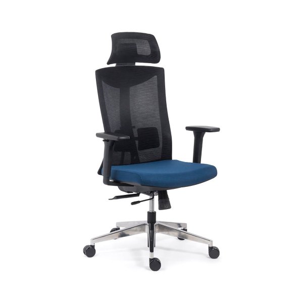 Scaun ergonomic multifunctional reglaje multiple SYYT 9501 albastru