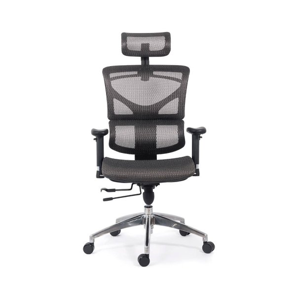 Scaun ergonomic multifunctional SYYT 9500 gri