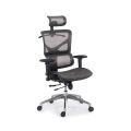 Scaun ergonomic multifunctional SYYT 9500 gri - imaginea 1