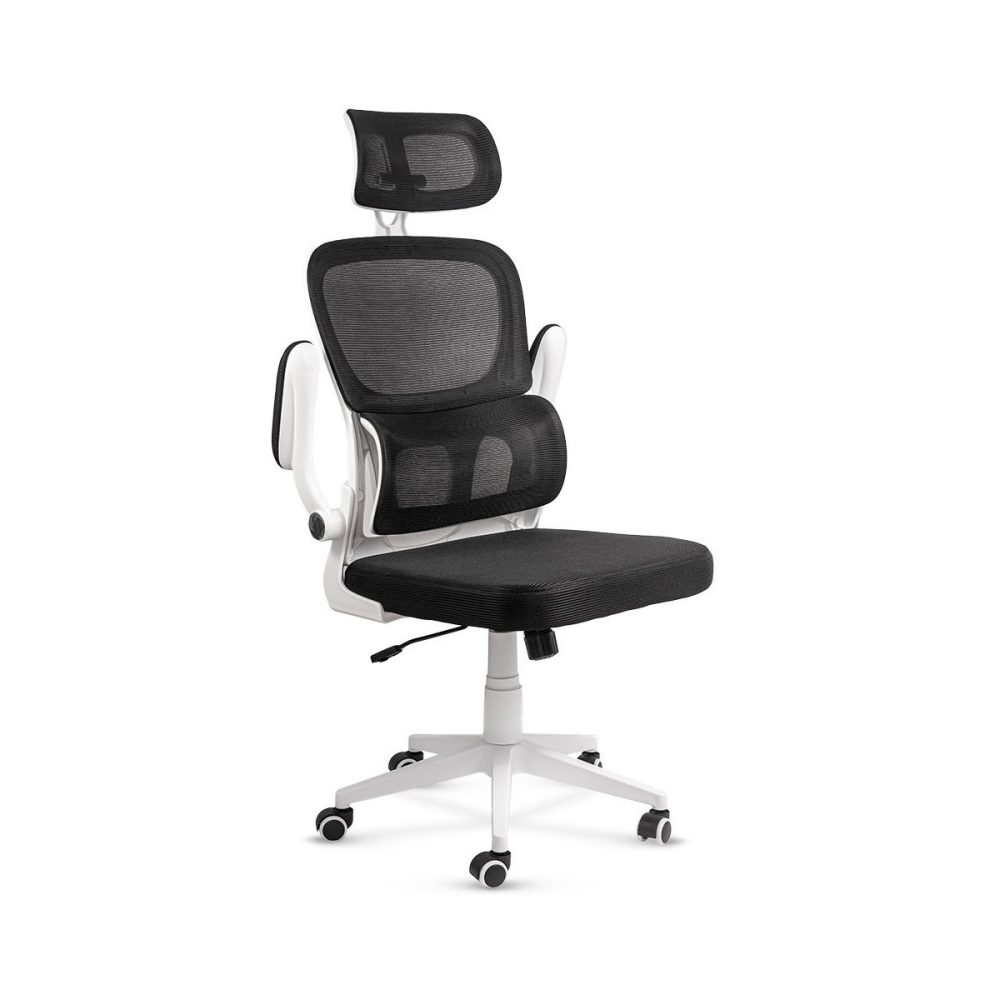 Scaun ergonomic pentru birou cu suport lombar si brate rabatabile OFF 432 negru