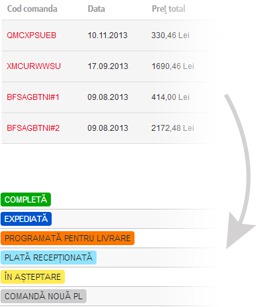 Detalii comenzi 1mob.ro